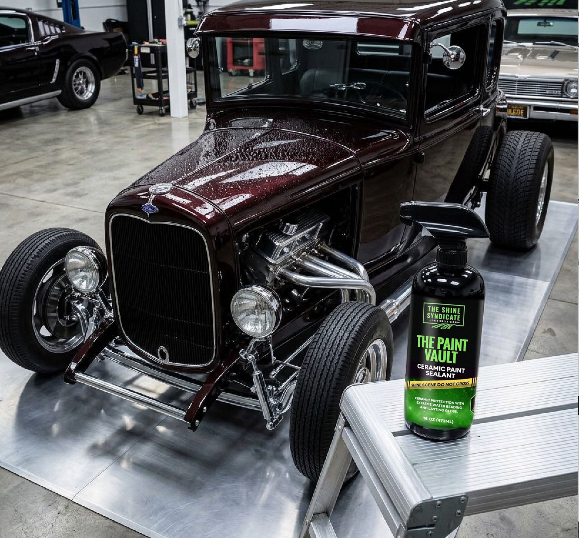 The Paint Vault – Ceramic Paint Sealant